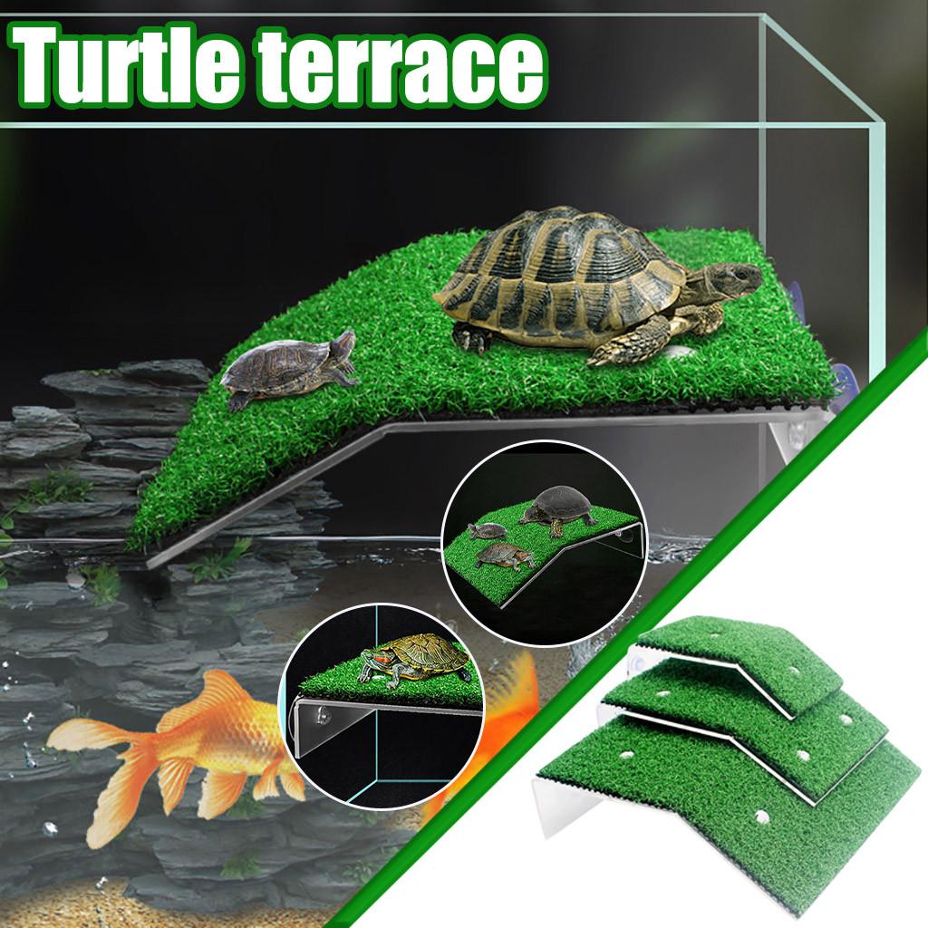 Turtle Roof terrace