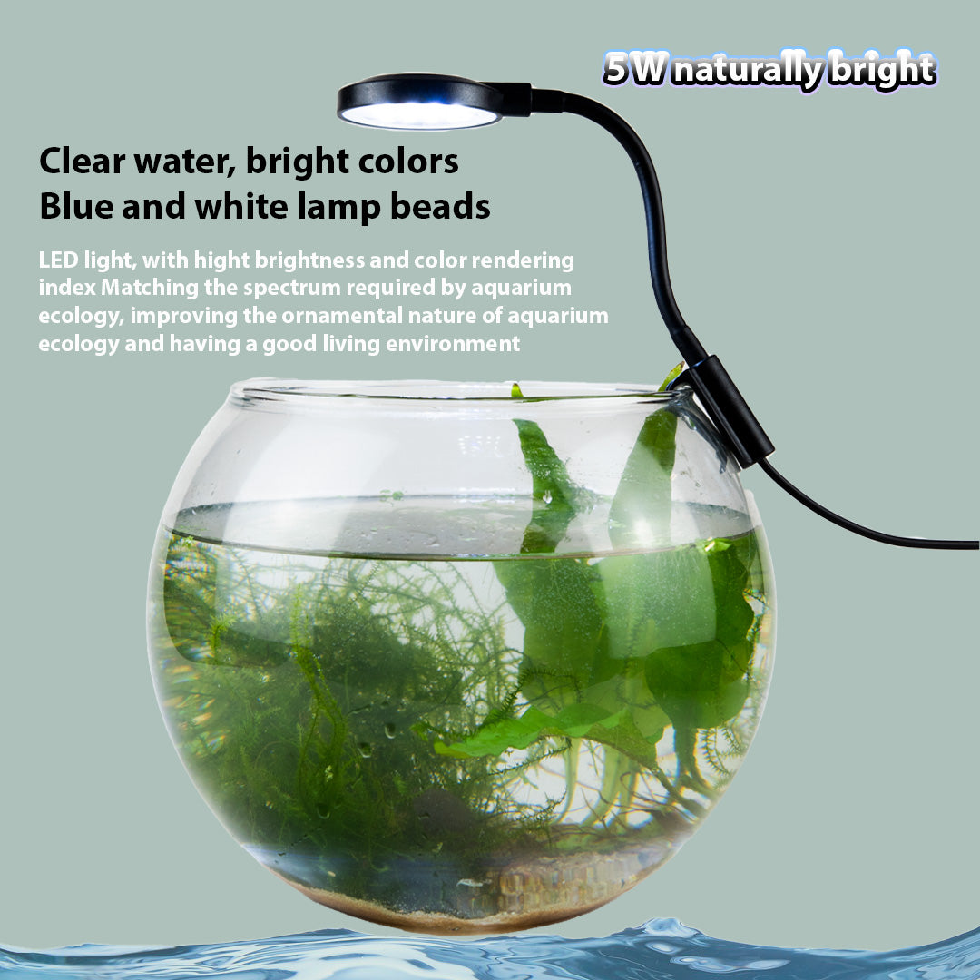 Mini Hanging light for bowl