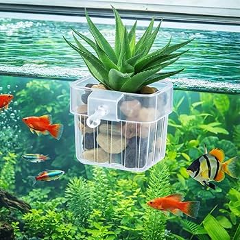 Plantation cultivation Cup | Plant holder | 1 Pc