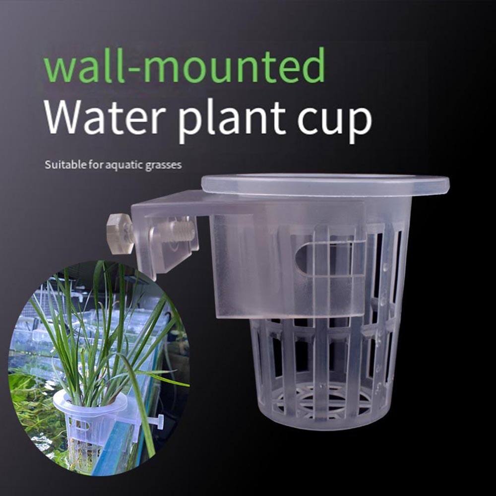 Plantation cultivation Cup | Plant holder | 1 Pc