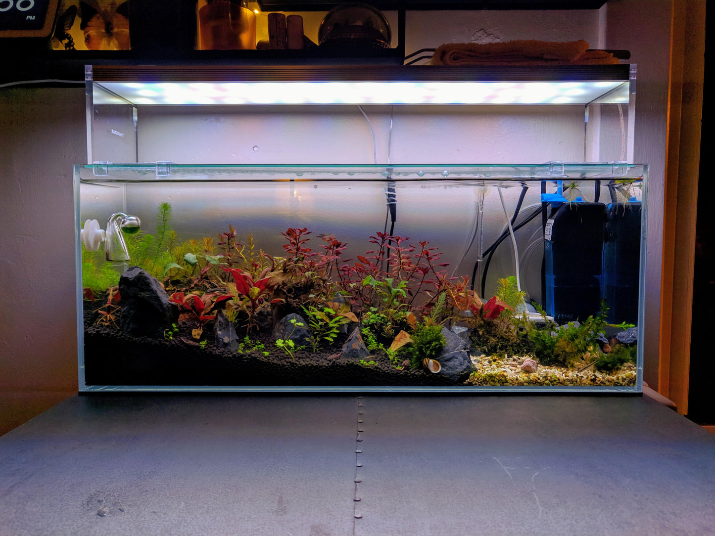 Vinyl Matte Blur | Frosted blur background