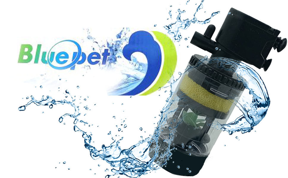Bluepet Products