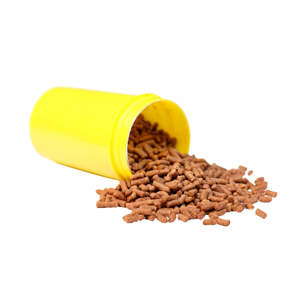 Fish Foods