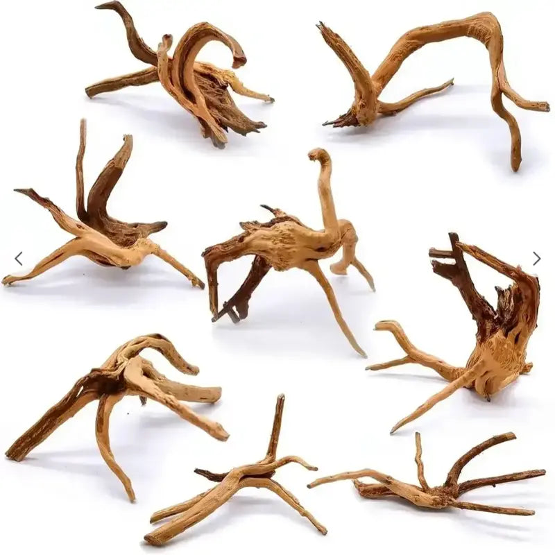 Driftwoods & Designs