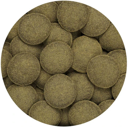 Hikari Algae wafers | Bottom feeders
