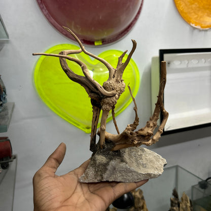 Customised Driftwood | small | Random design