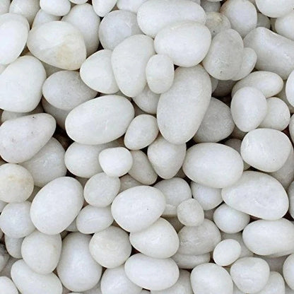 White Polished Stones | 1kg