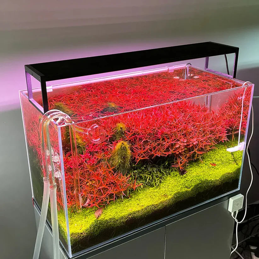 Chihiros WRGB II Slim 120 90W | Premium RGB LED Aquarium Light