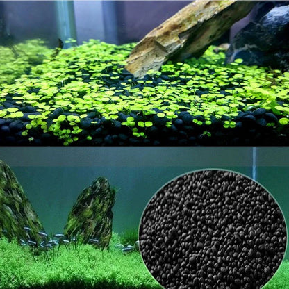Tropica Soil (loose)