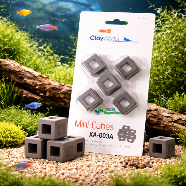 fish tank accessories buy online india Beta Accessories, 4Pcs Floating Resting Platform for Tank Dive into an immersive project with the LEGO Icons Tropical Aquarium (10366) fish tank decor building set for adults Buy best aquarium fish online