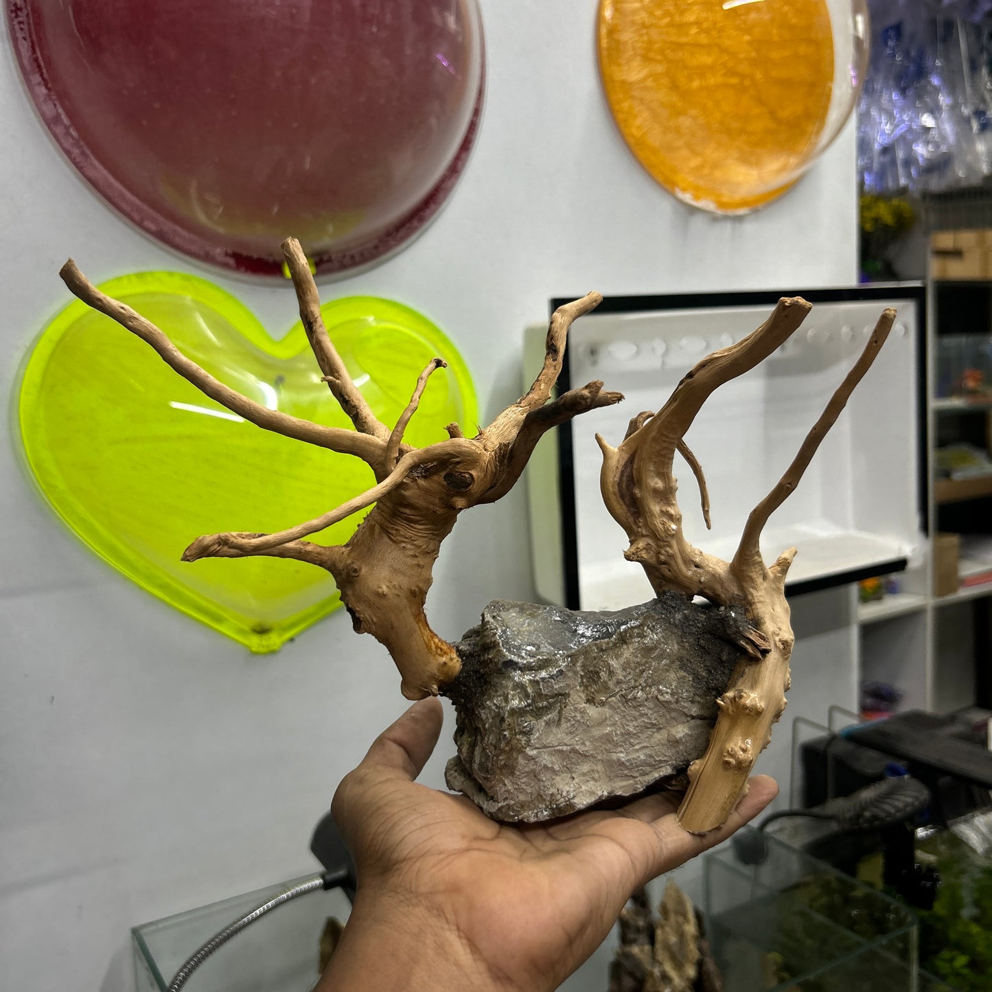 Customised Driftwood | small | Random design