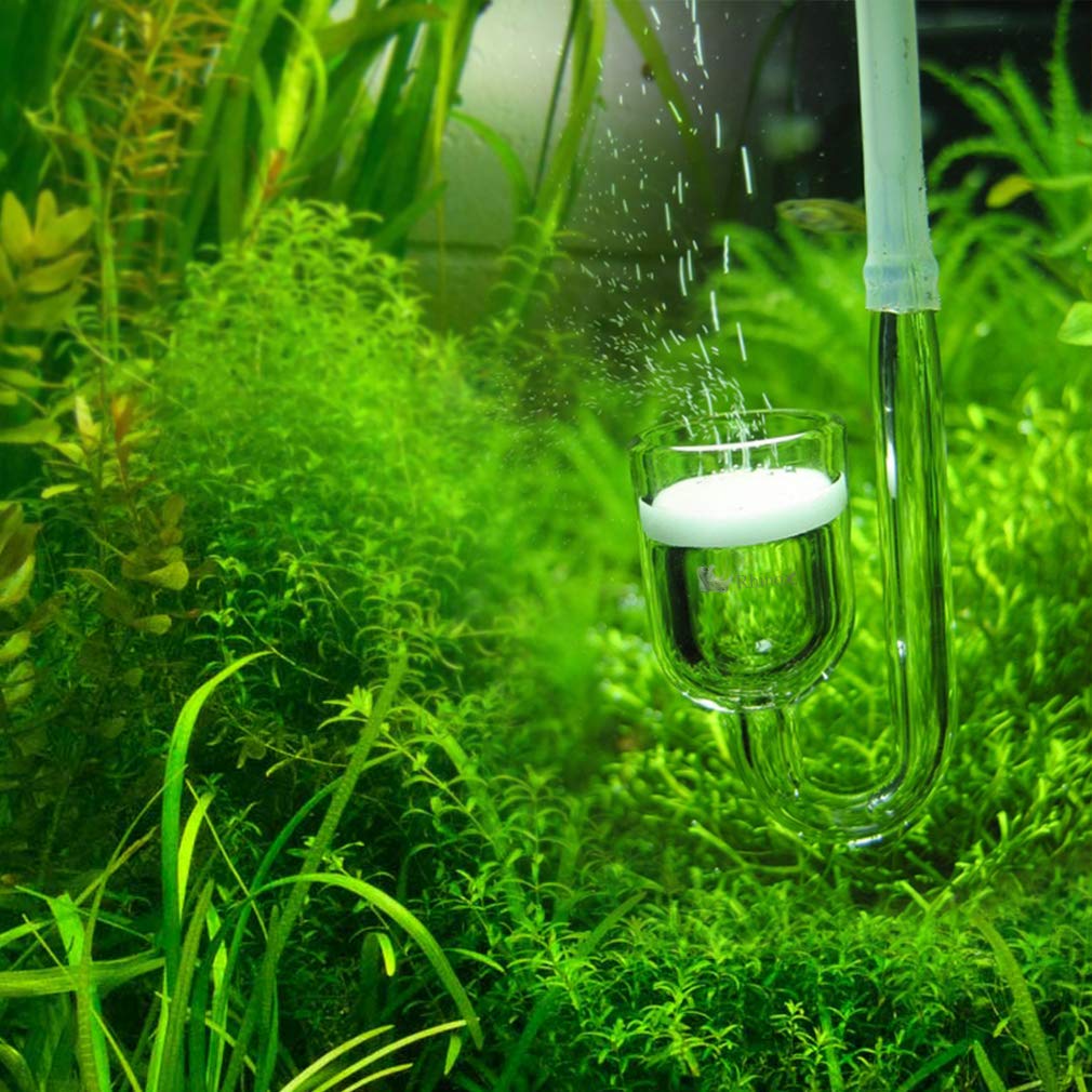 CO2 Diffuser | Glass