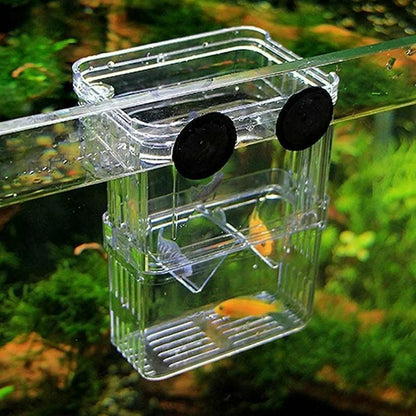 Isolation Box | Small Breeding Box