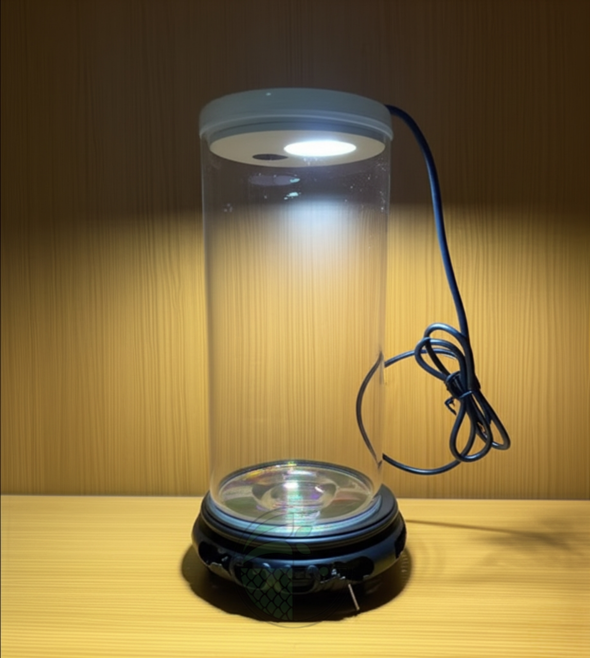 Bluepet TP 10 | Betta Tank | Mini Aquarium Combo