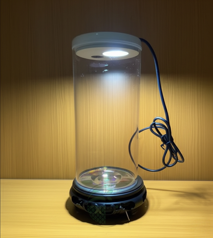 Bluepet TP 10 | Betta Tank | Mini Aquarium Combo