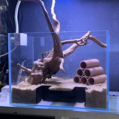 Bottom cave | Hiding spot | VAC001