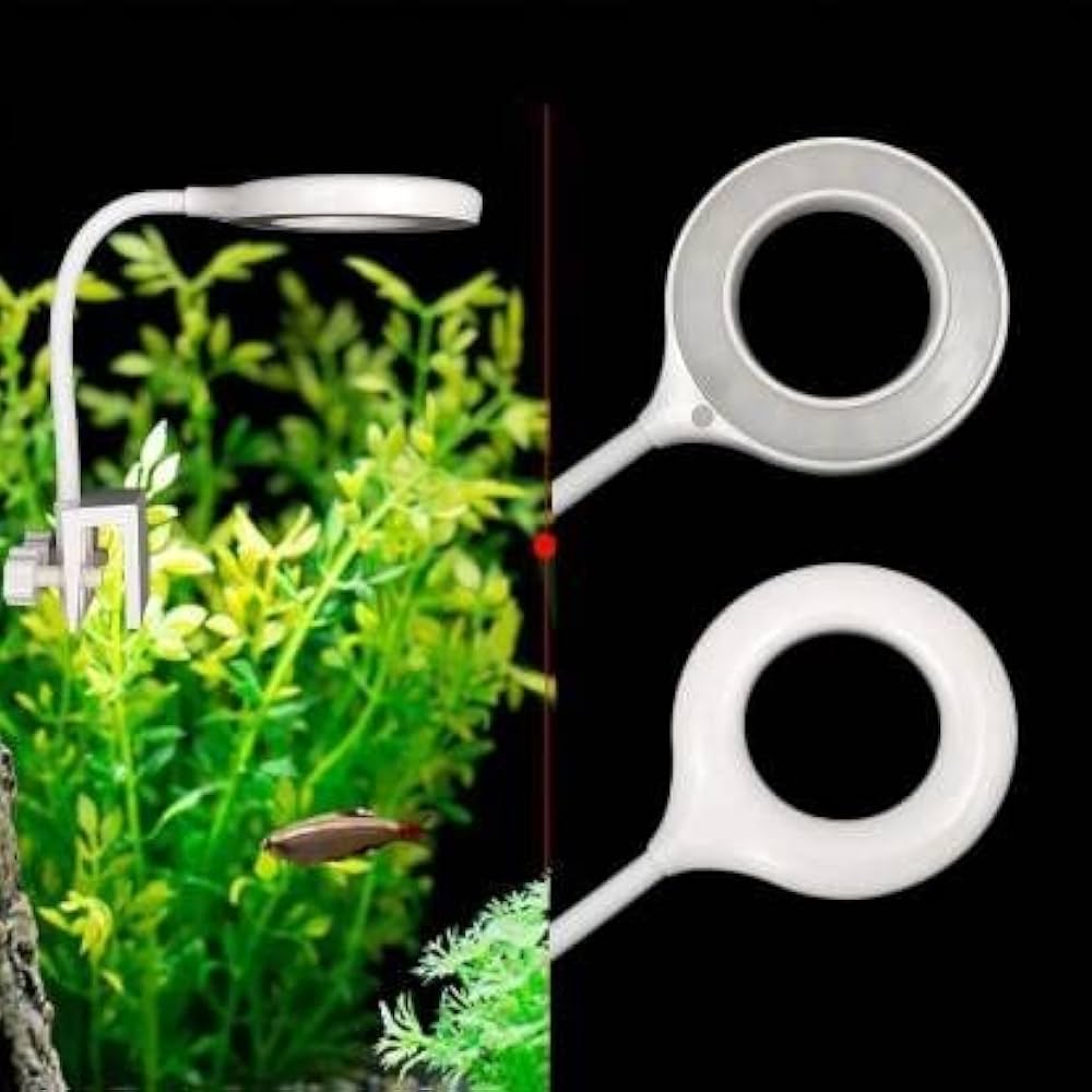 RS S80 Bowl Light