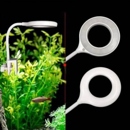 RS S80 Bowl Light