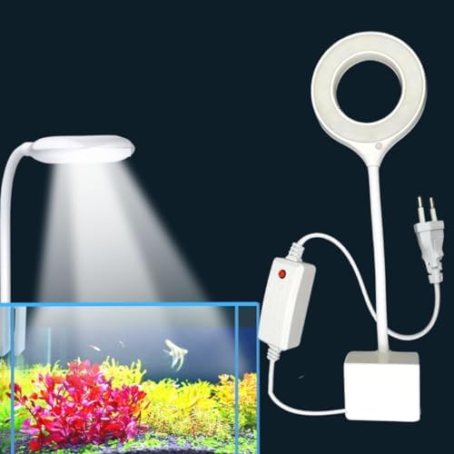 RS S80 Bowl Light