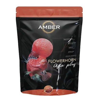 Amber Asta Plus