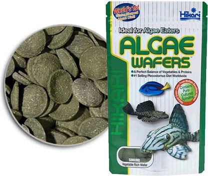 Hikari Algae wafers | Bottom feeders