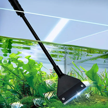 Algae Scrapper
