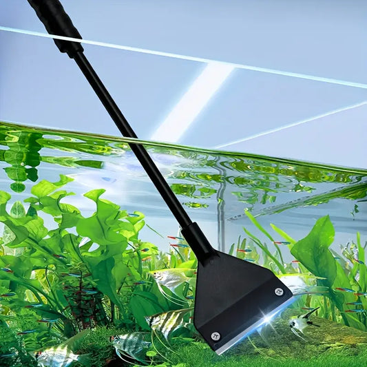 Algae Scrapper