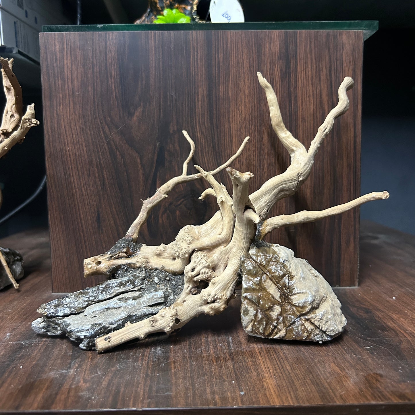 Customised Driftwood | small | Random design