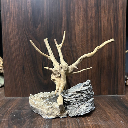 Customised Driftwood | small | Random design