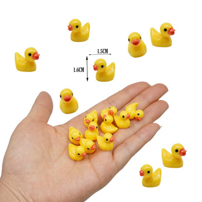 Ducks ( 1-2 cms)
