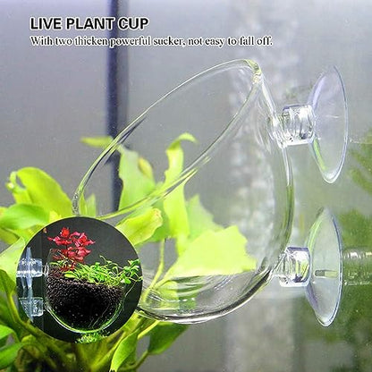 Glass Plant Pot