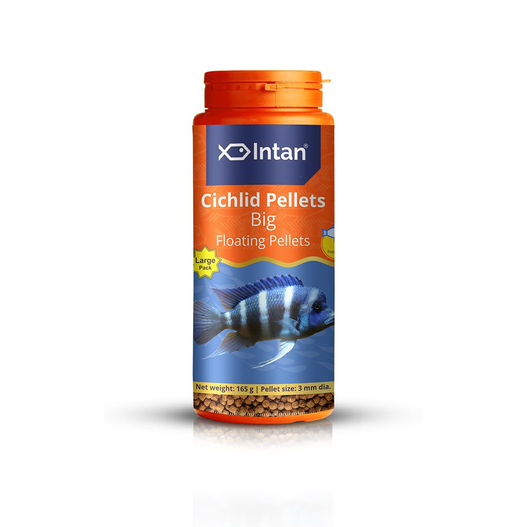 Intan Cichlid Pellets (3mm dia)
