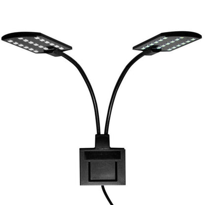 Dual Light