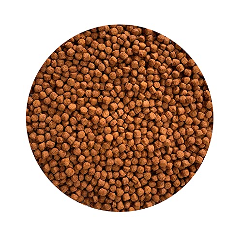Pro Rich Parrot fish food