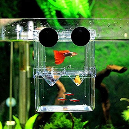 Isolation Box | Small Breeding Box