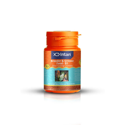 Intan Breeder & Grower Food | Premium High Protein Fish Food | 35g