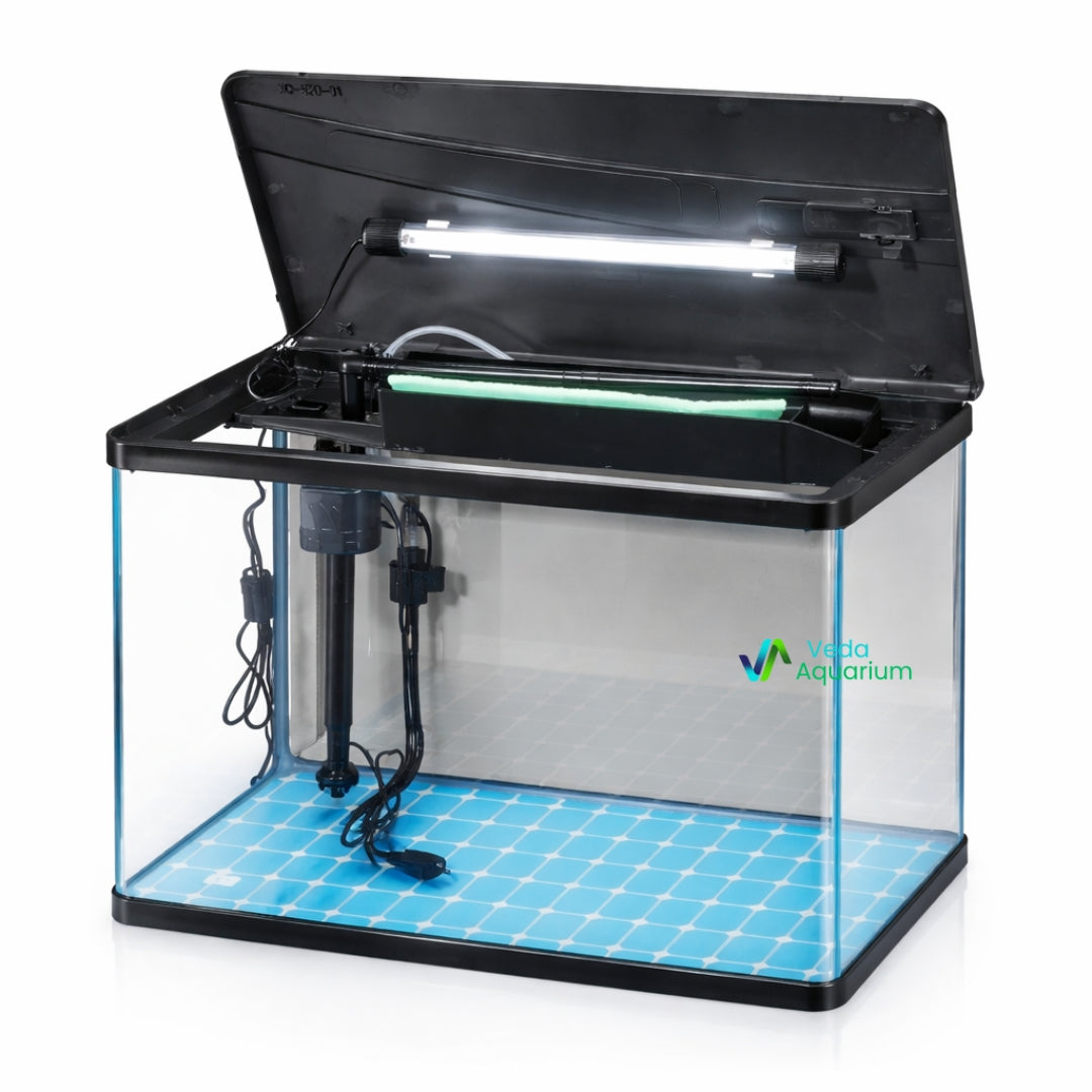 6 Litres Imported Aquarium Tank | Premium Crystal Clear Fish Tank
