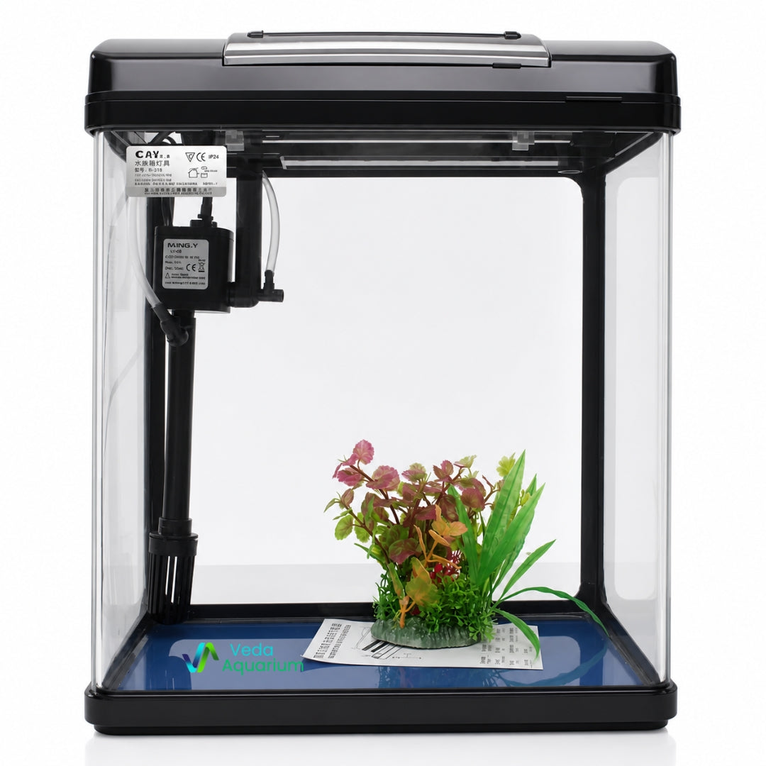 6 Litres Imported Aquarium Tank | Premium Crystal Clear Fish Tank