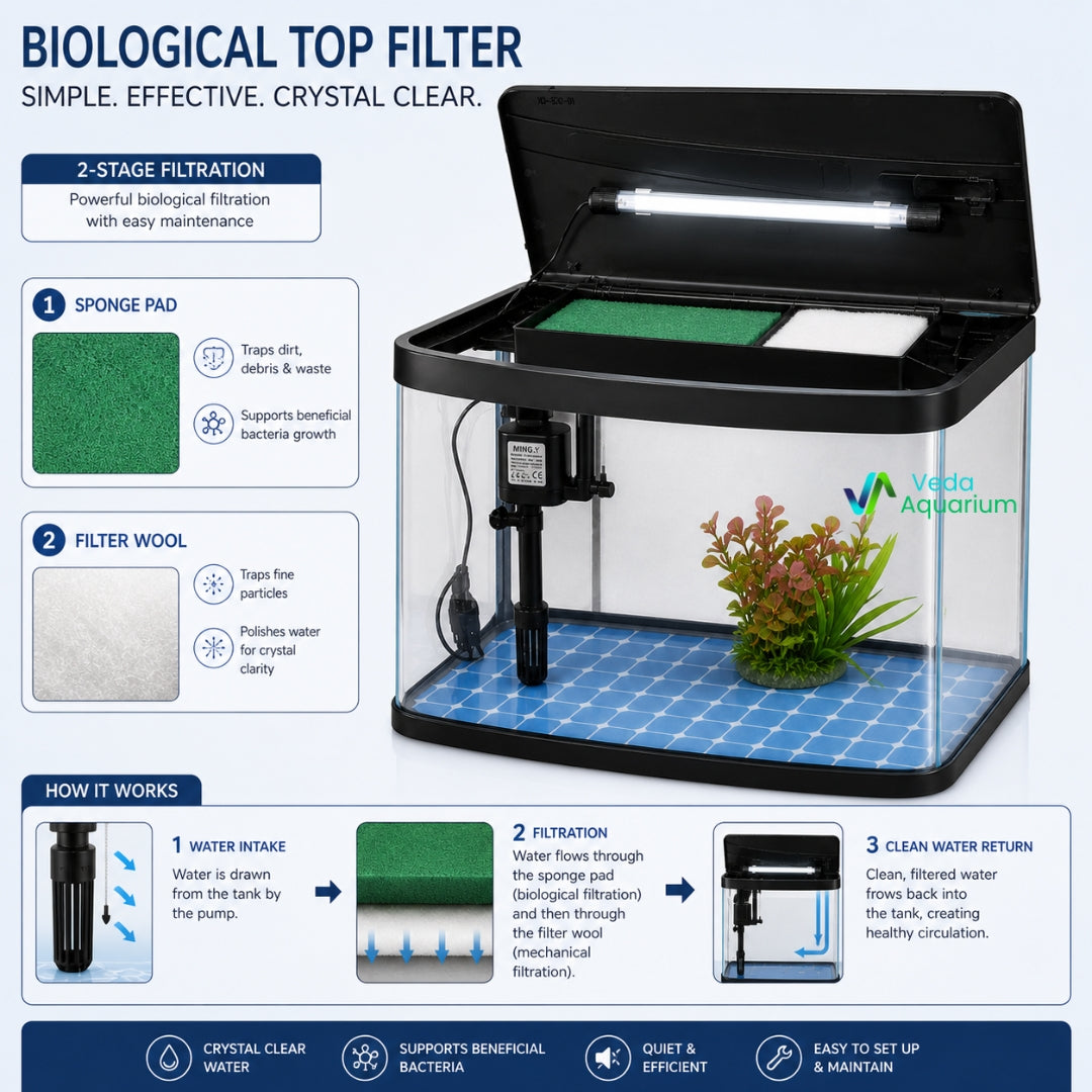 6 Litres Imported Aquarium Tank | Premium Crystal Clear Fish Tank