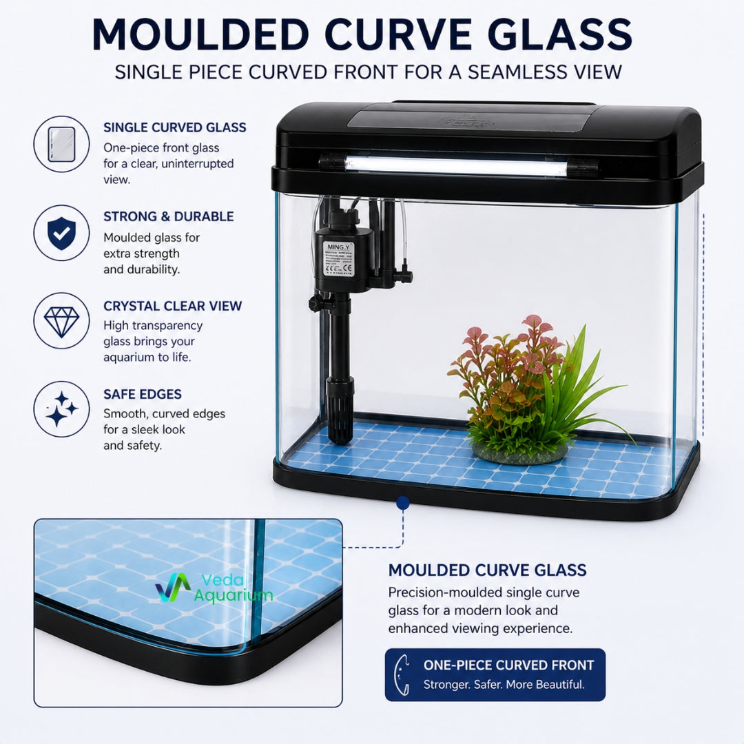 6 Litres Imported Aquarium Tank | Premium Crystal Clear Fish Tank