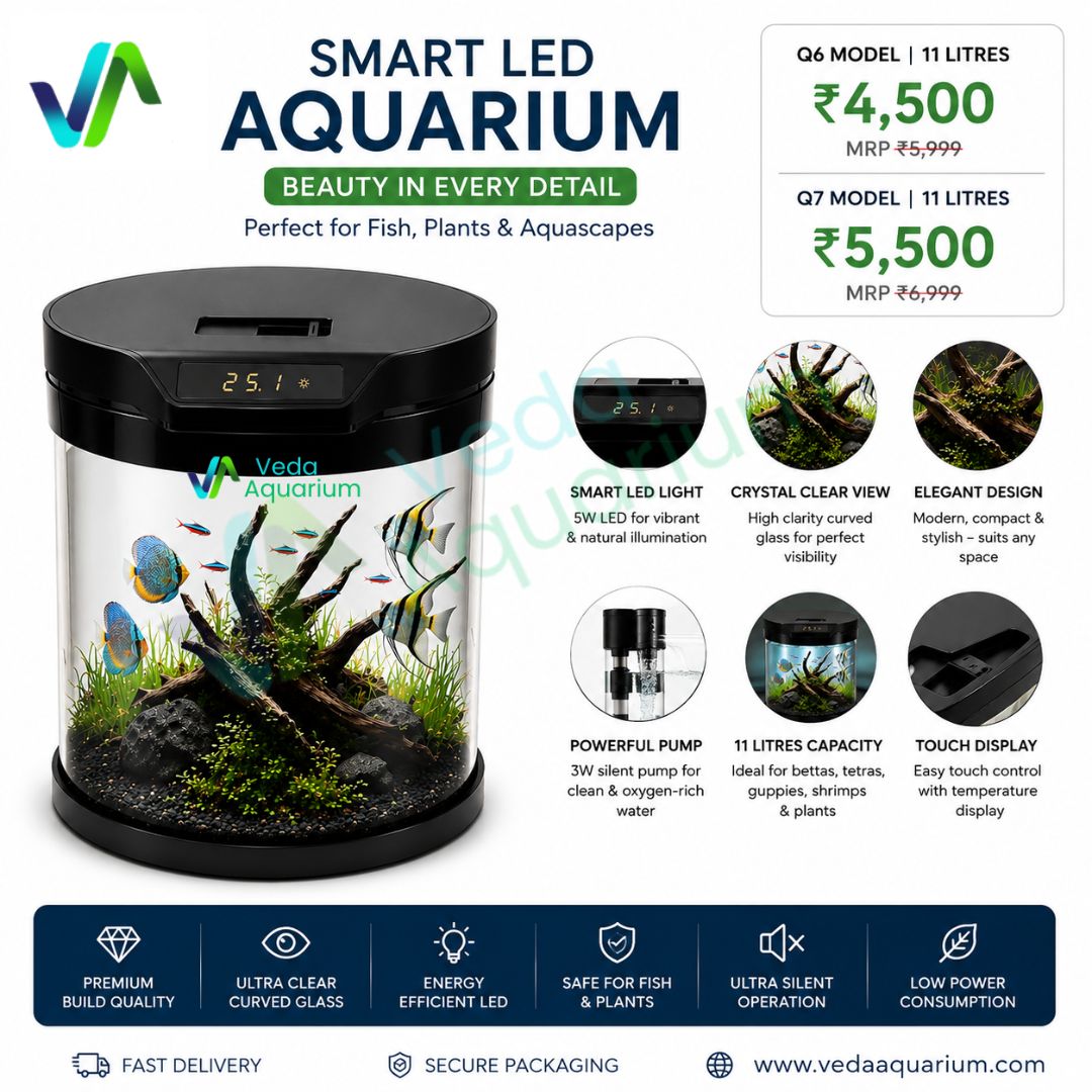 Bluepet Q6 Cylindrical Fish Tank | Modern Round Aquarium