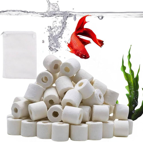 Ceramic Rings | Single