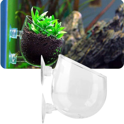 plant pots for aquarium Glass Plant Pot – Veda Aquarium