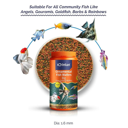 Intan Ornamental Fish Wafers | Premium Sinking Wafer Fish Food