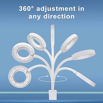 RS S80 Bowl Light
