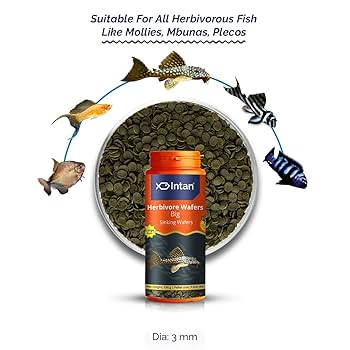 Intan Herbivore Wafers | Premium Spirulina Herbivore Fish Food | 5mm dia