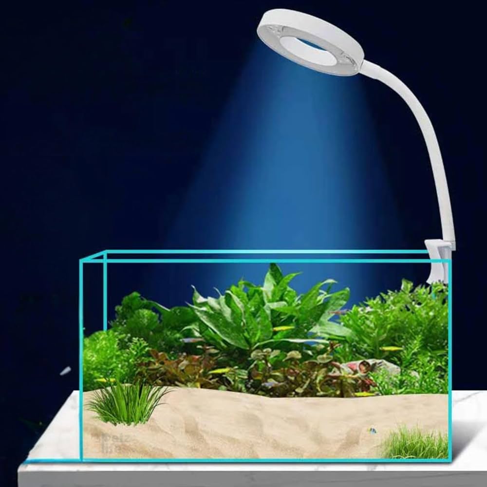 RS S80 Bowl Light