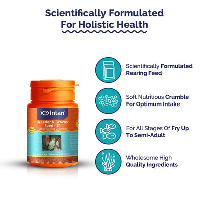 Intan Breeder & Grower Food | Premium High Protein Fish Food | 35g