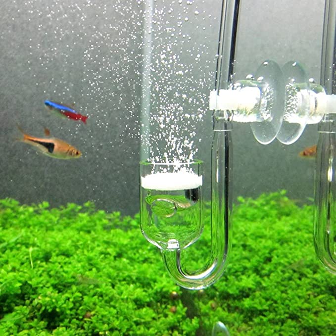 CO2 Diffuser Combo | Complete Aquarium CO2 Accessories Kit