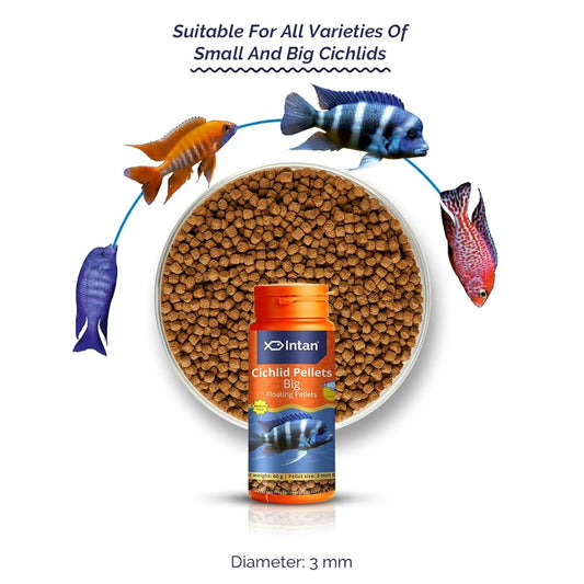 Intan Cichlid Pellets | Premium High Protein Cichlid Fish Food